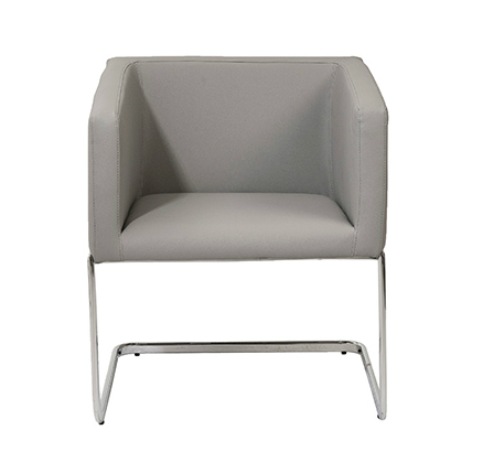 Ari Lounge Chair